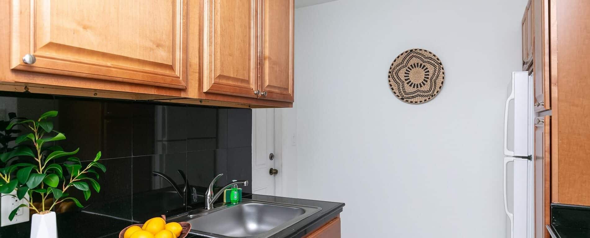 Central View - Cozy 1 Bed / 1 Bath Downtown Retreat