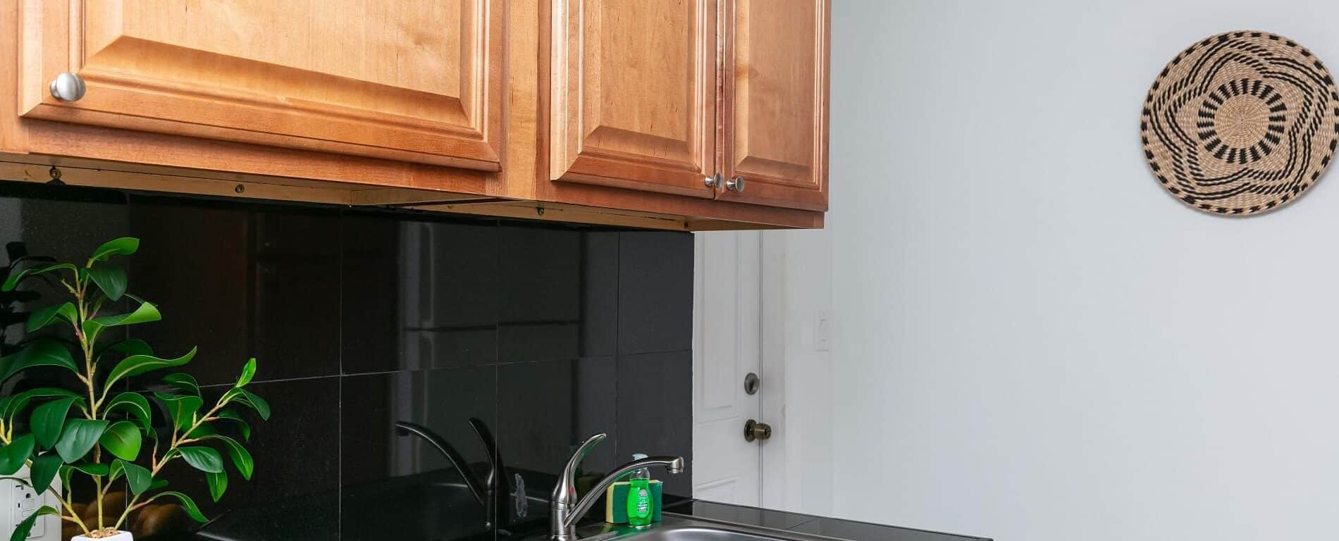 Central View - Cozy 1 Bed / 1 Bath Downtown Retreat