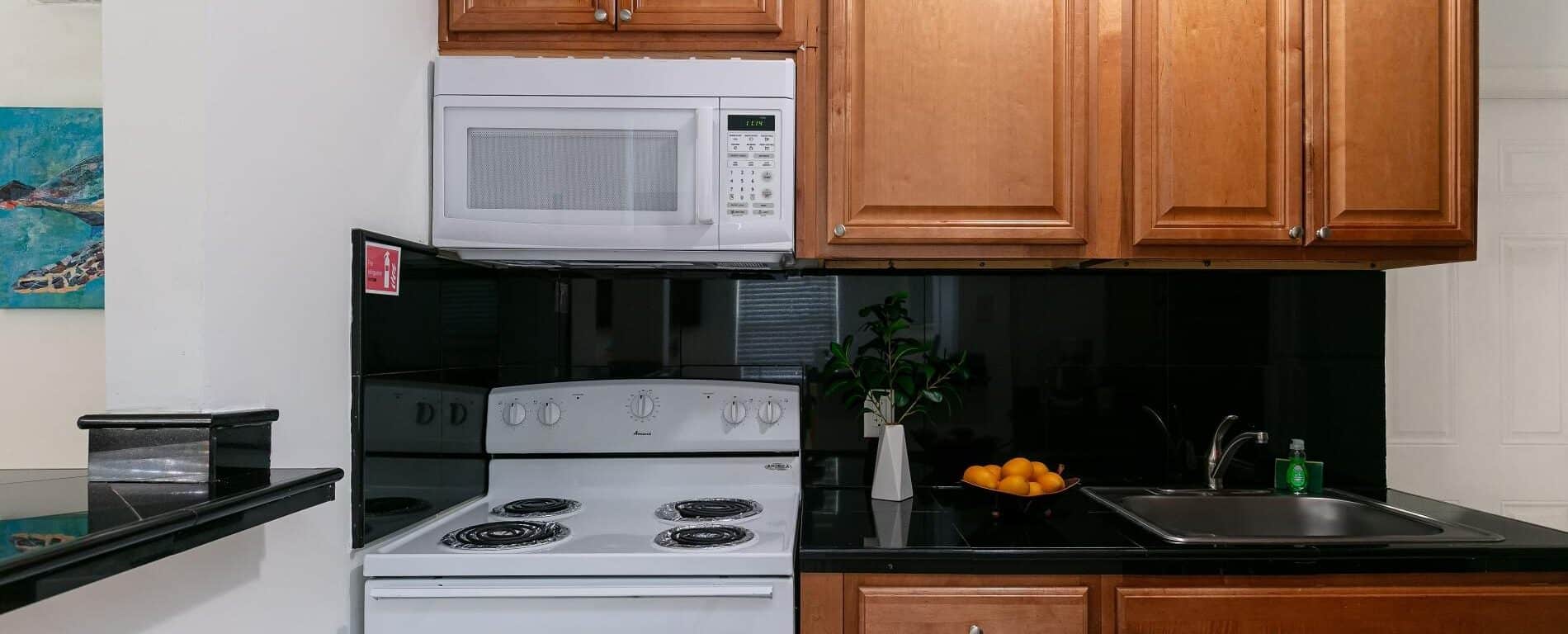 Central View - Cozy 1 Bed / 1 Bath Downtown Retreat